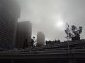 Brisbane from CityCat ferry, foggy morning DSC02388